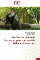 Gorilles de plaine de l'ouest au parc national de Lobéké au Cameroun