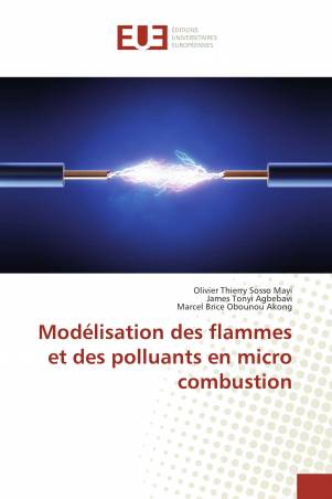 Modélisation des flammes et des polluants en micro combustion