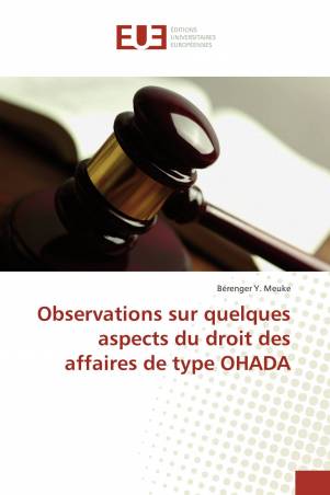 Observations sur quelques aspects du droit des affaires de type OHADA