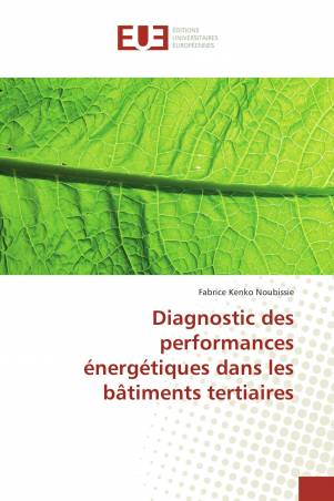 Diagnostic des performances énergétiques dans les bâtiments tertiaires