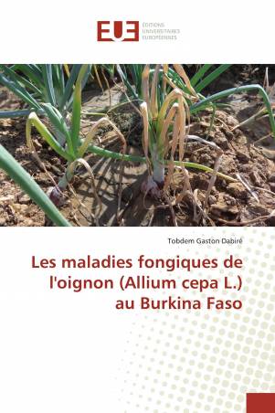 Les maladies fongiques de l'oignon (Allium cepa L.) au Burkina Faso
