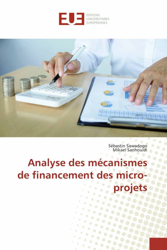 Analyse des mécanismes de financement des micro-projets