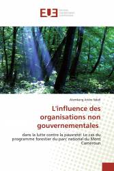 L'influence des organisations non gouvernementales