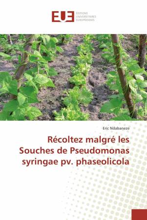 Récoltez malgré les Souches de Pseudomonas syringae pv. phaseolicola