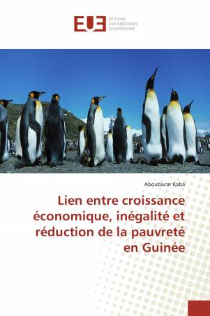 Lien entre croissance économique, inégalité et réduction de la pauvreté en Guinée