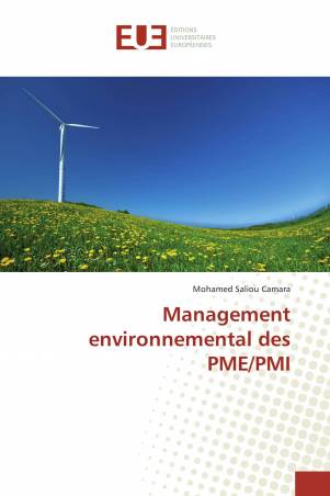 Management environnemental des PME/PMI