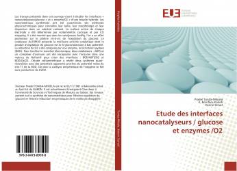 Etude des interfaces nanocatalyseurs / glucose et enzymes /O2