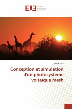 Conception et simulation d'un photosystème voltaïque mesh