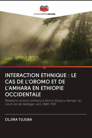 INTERACTION ETHNIQUE : LE CAS DE L'OROMO ET DE L'AMHARA EN ETHIOPIE OCCIDENTALE