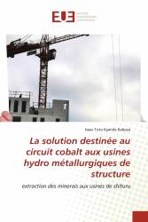 La solution destinée au circuit cobalt aux usines hydro métallurgiques de structure