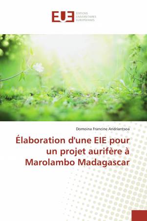 Élaboration d'une EIE pour un projet aurifère à Marolambo Madagascar