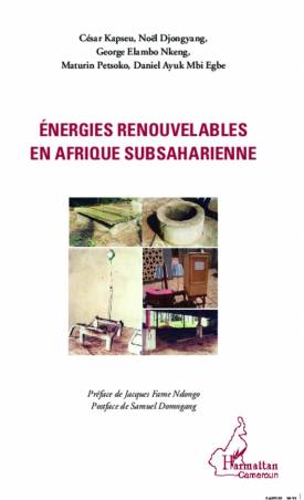 Energies renouvelables en Afrique subsaharienne