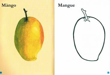 Les fruits du sahel - Mangue