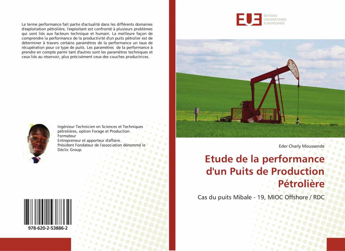 Etude de la performance d'un Puits de Production Pétrolière