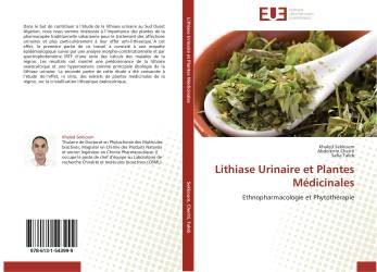 Lithiase Urinaire et Plantes Médicinales