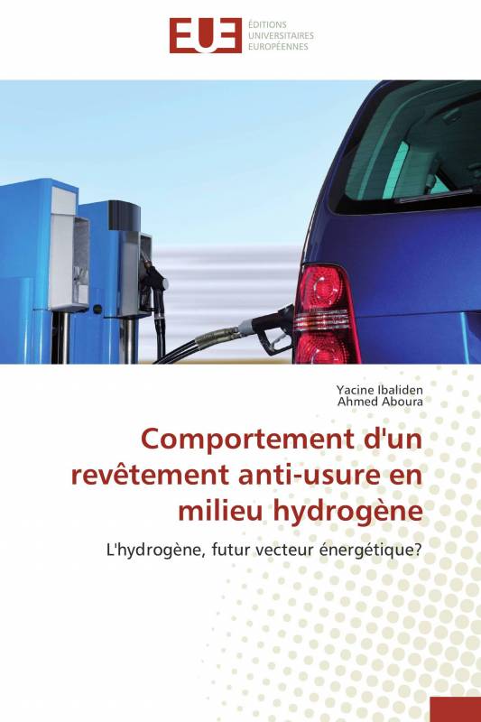 Comportement d'un  revêtement anti-usure en milieu hydrogène