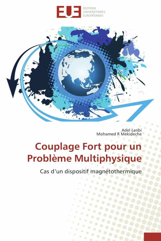 Couplage Fort pour un Problème Multiphysique