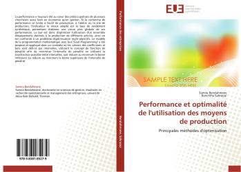 Performance et optimalité de l'utilisation des moyens de production