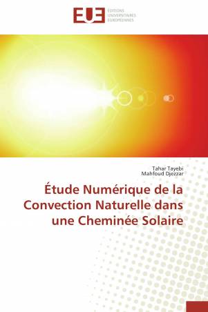 Étude Numérique de la Convection Naturelle dans une Cheminée Solaire