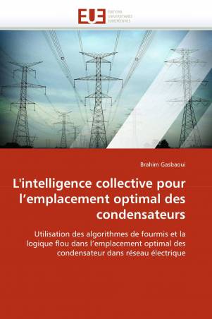 L&#039;intelligence collective pour l&#039;emplacement optimal des condensateurs