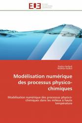 Modélisation numérique des processus physico-chimiques