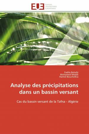 Analyse des précipitations dans un bassin versant