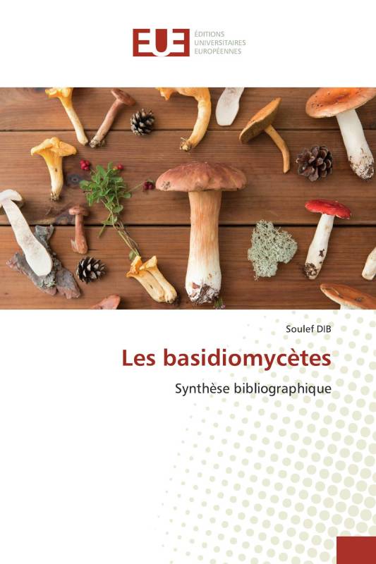 Les basidiomycètes