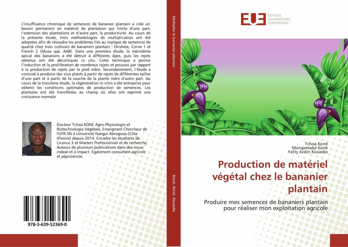 Production de matériel végétal chez le bananier plantain