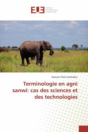 Terminologie en agni sanwi: cas des sciences et des technologies
