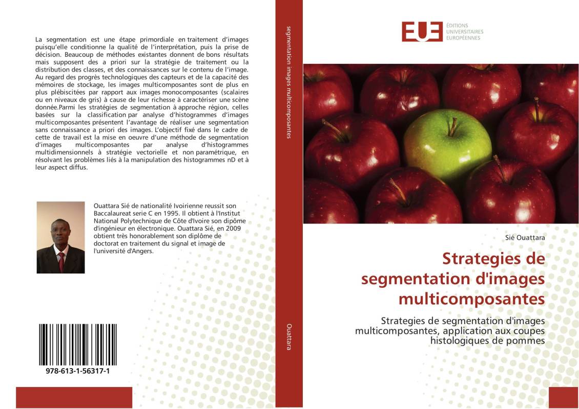 Strategies de segmentation d'images multicomposantes