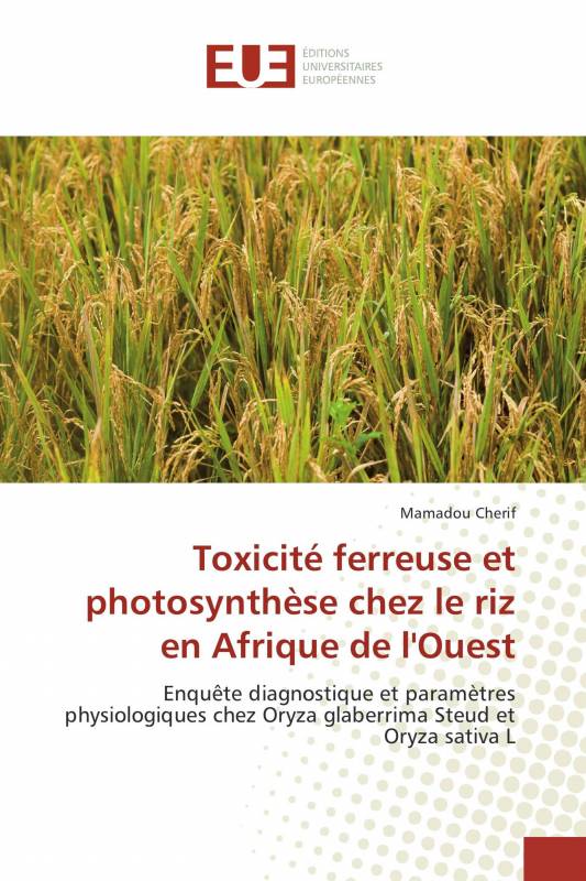 Toxicité ferreuse et photosynthèse chez le riz en Afrique de l'Ouest