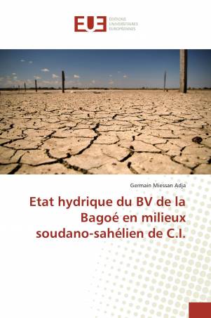 Etat hydrique du BV de la Bagoé en milieux soudano-sahélien de C.I.