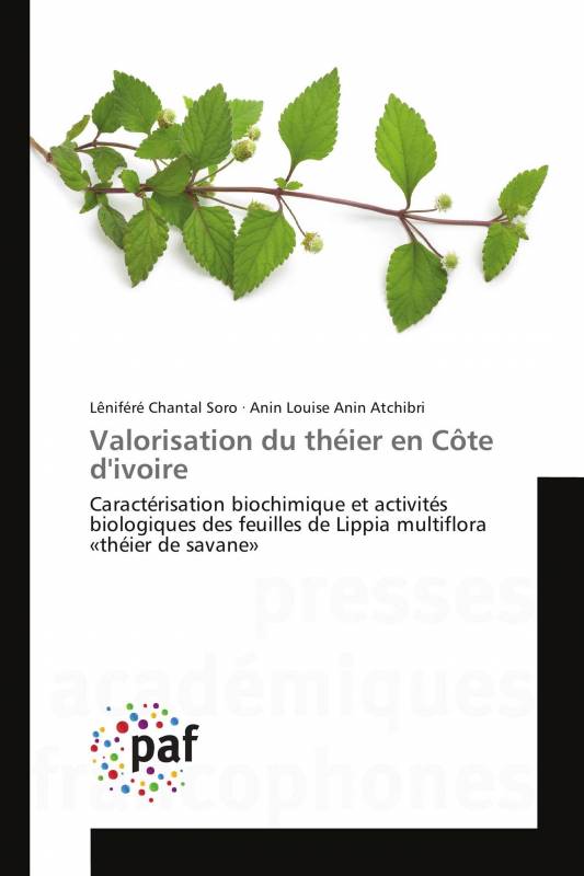 Valorisation du théier en Côte d'ivoire