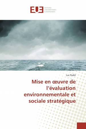Mise en œuvre de l’évaluation environnementale et sociale stratégique