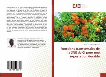 Fonctions transversales de la SNE de CI pour une exportation durable