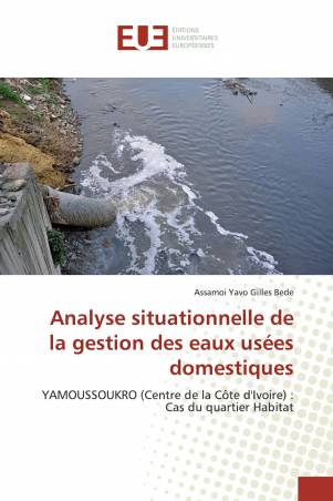 Analyse situationnelle de la gestion des eaux usées domestiques