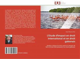 L'Etude d'impact en droit international et en droit gabonais