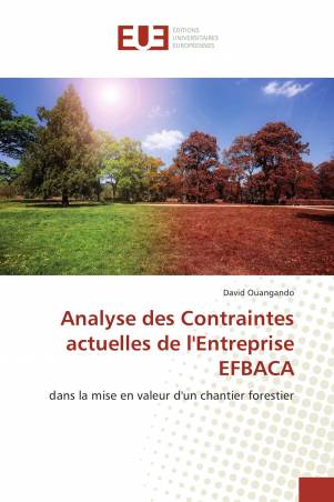 Analyse des Contraintes actuelles de l'Entreprise EFBACA