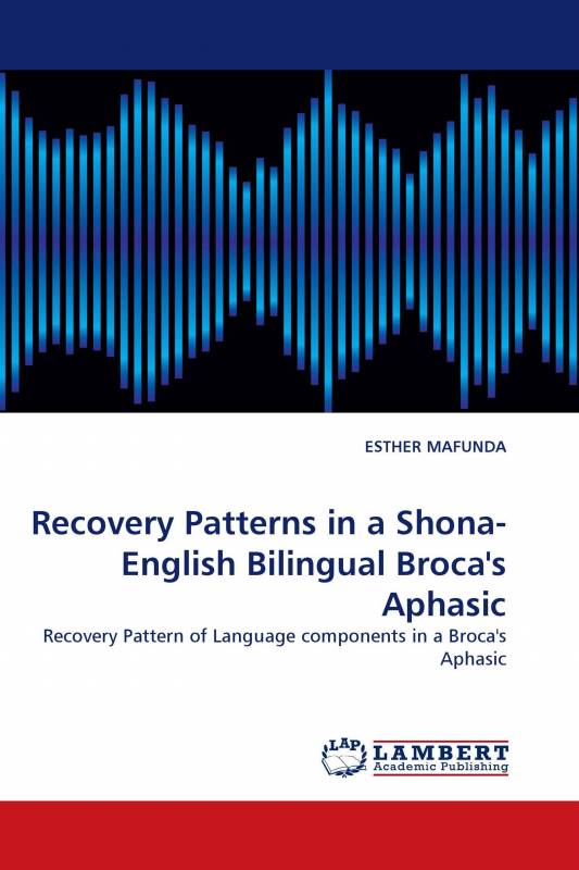 Recovery Patterns in a Shona- English Bilingual Broca's Aphasic