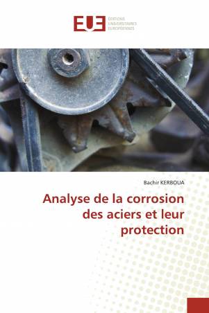 Analyse de la corrosion des aciers et leur protection