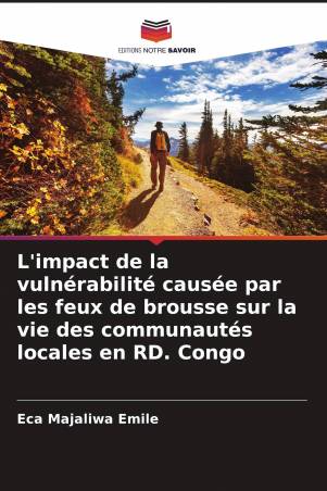 L&#039;impact de la vulnérabilité causée par les feux de brousse sur la vie des communautés locales en RD. Congo