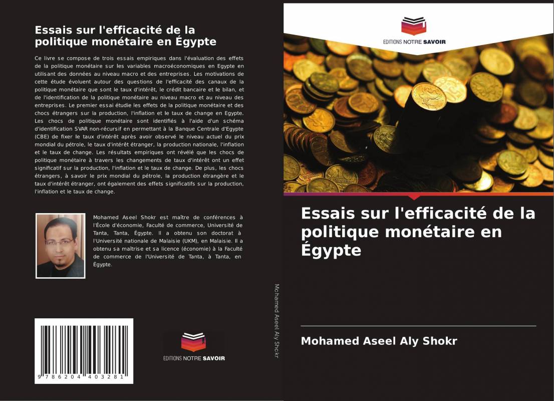 Essais sur l'efficacité de la politique monétaire en Égypte