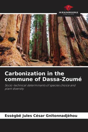 Carbonization in the commune of Dassa-Zoumé