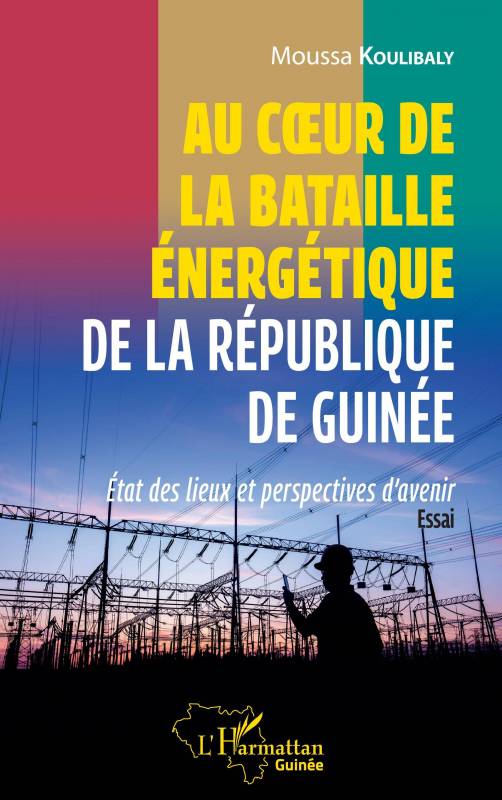 Au coeur de la bataille énergétique de la République de Guinée