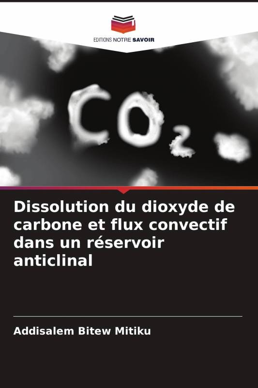 Dissolution du dioxyde de carbone et flux convectif dans un réservoir anticlinal