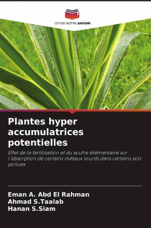 Plantes hyper accumulatrices potentielles