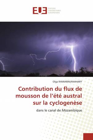 Contribution du flux de mousson de l’été austral sur la cyclogenèse