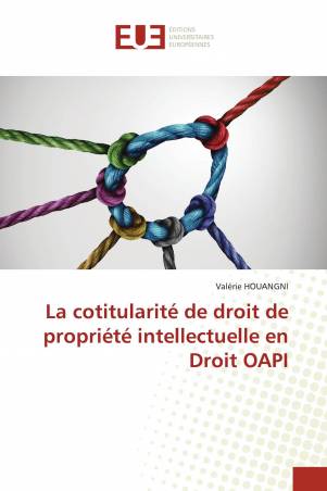 La cotitularité de droit de propriété intellectuelle en Droit OAPI