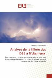 Analyse de la filière des D3E à N'djamena