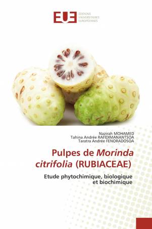 Pulpes de Morinda citrifolia (RUBIACEAE)